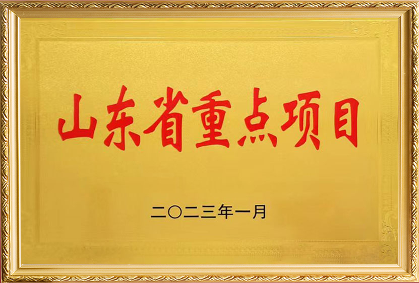 山东省重点项目""